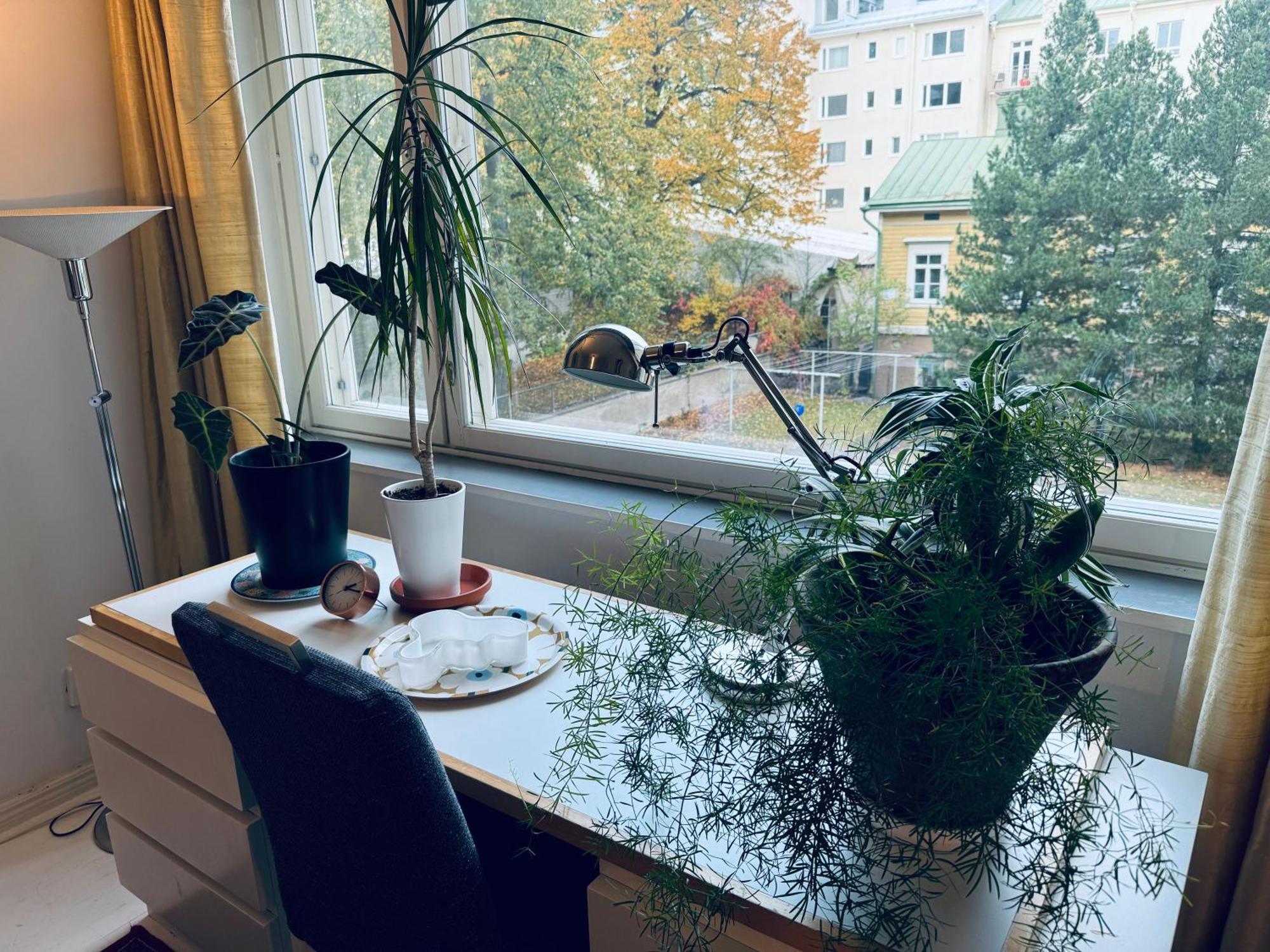 Lovely Apartment, Vuorimiehenkatu 31 Helsinki Kültér fotó